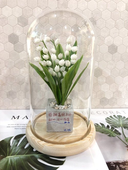 Amy Ting’s 藝想世界 不老花藝/ 幸福鈴蘭小盆栽