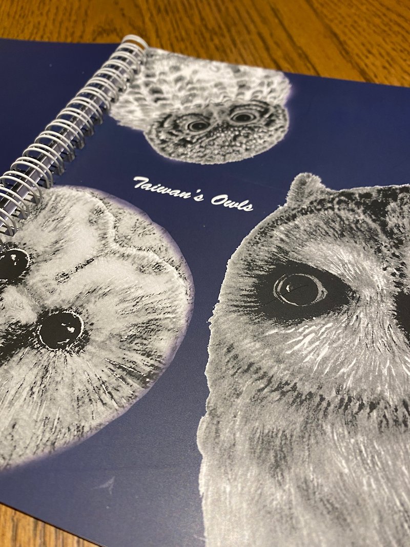 Taiwan’s Owl Notebook - Notebooks & Journals - Paper Blue