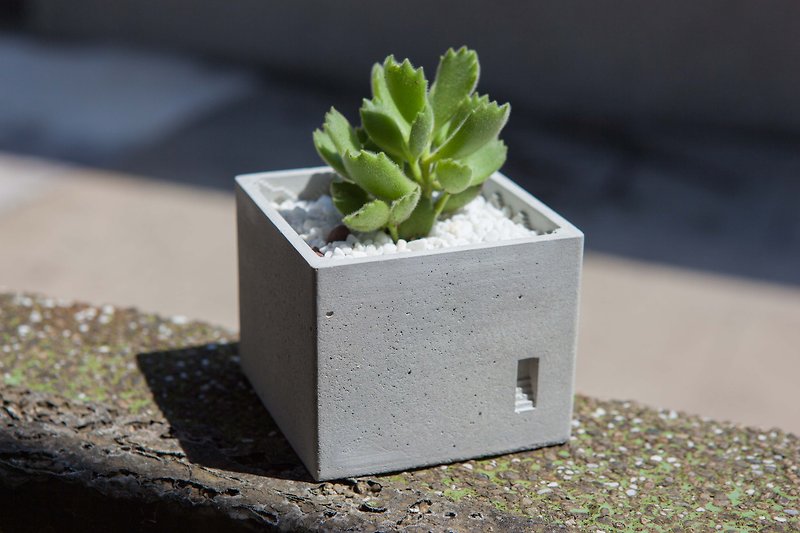 [Drizzle Handcrafted Workshop] [Adverse City]-Water Mold Potted Plants - Plants - Paper Silver