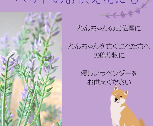 柴犬とラベンダーのミニ花束 造花花束 壁飾り ぬいぐるみ 犬 いぬ