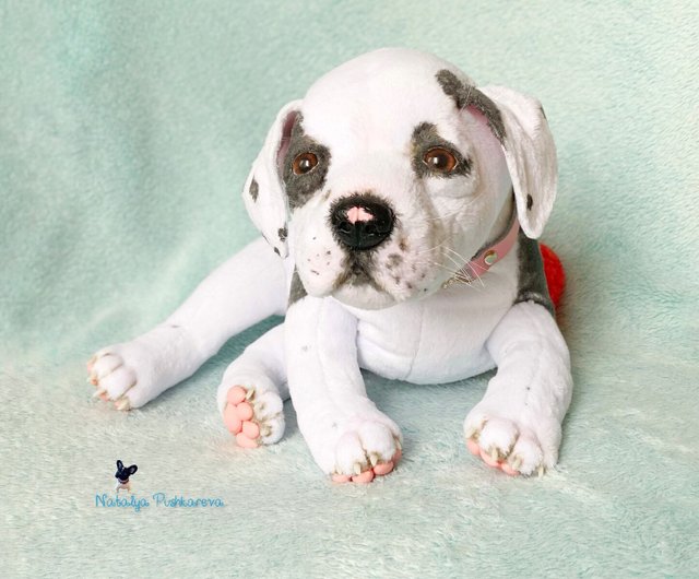 american pit bull terrier puppy realistic toy pet portrait Shop NatalyaPushkarevaToy Stuffed Dolls Figurines Pinkoi