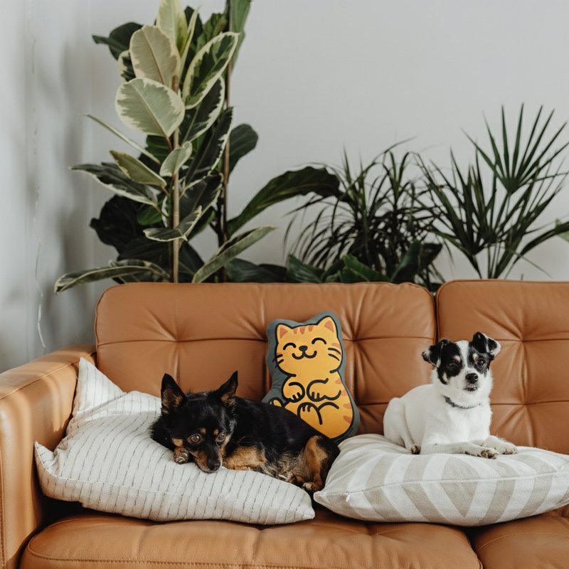 抱抱神明抱枕 | 赤兔 | 港神港地 | 香港神明 - 枕頭/抱枕 - 棉．麻 