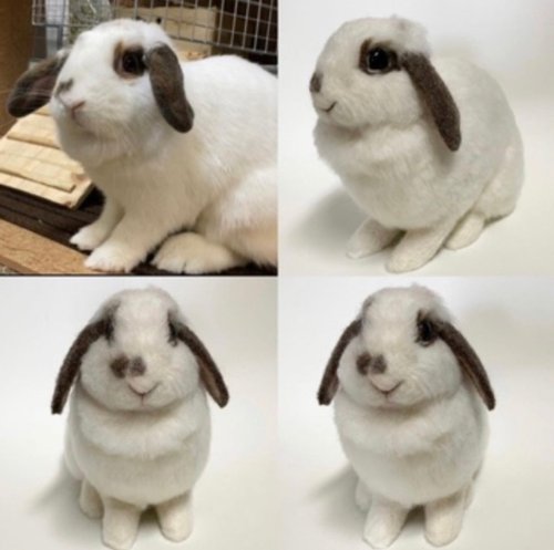 オーダーメイド】【LLサイズ】羊毛フェルト うさぎ ペット うち