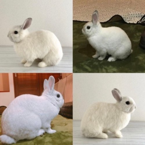 オーダーメイド】【LLサイズ】羊毛フェルト うさぎ ペット うち