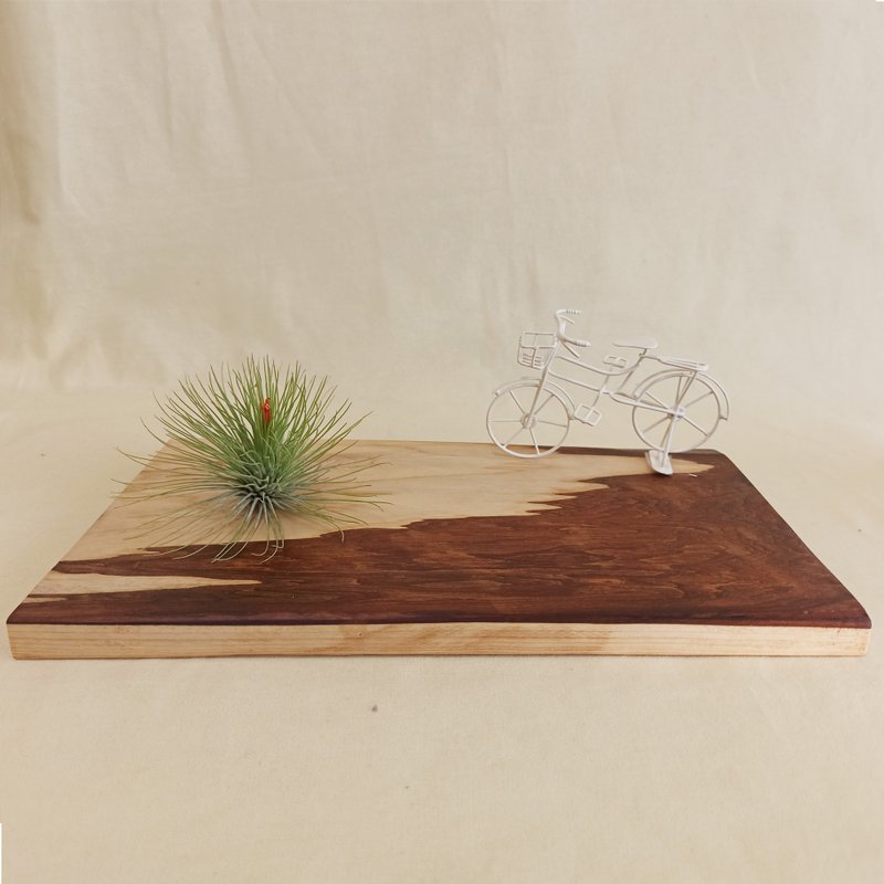 【日本檜木原木座台】-尺寸31.5x20x1.7CM - 擺飾/家飾品 - 木頭 卡其色