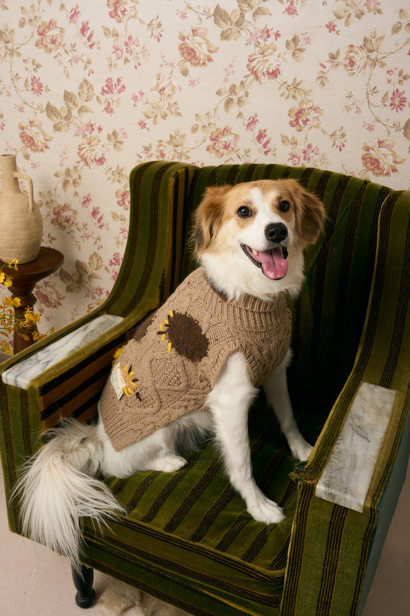 MULTI LAB - 504 BROWN - ชุดสัตว์เลี้ยง - ขนแกะ หลากหลายสี