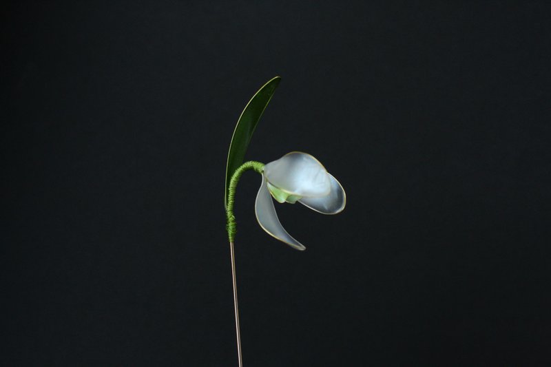 胸針針白色雪花蓮鍍金手工製作 - 胸針 - 其他材質 白色