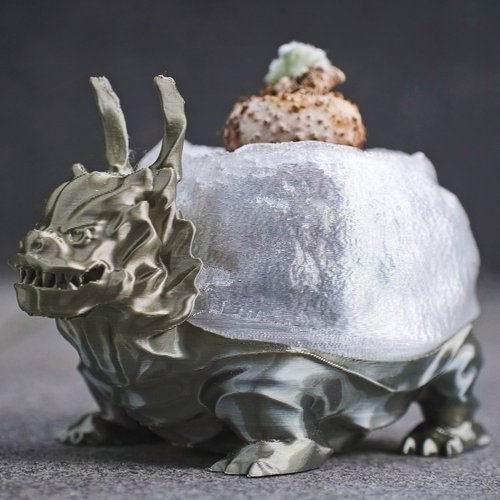 自圓其說3D設計 【龍龜】植物盆器 塊根盆 多肉盆 3d列印 盆器 龜甲龍 象牙宮
