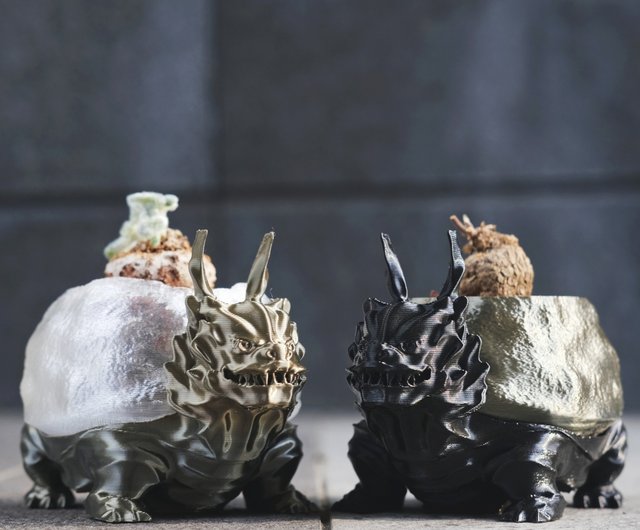 超特大 クリスタル ガーデン 龍亀（龍亀】植木鉢、根鉢、多肉