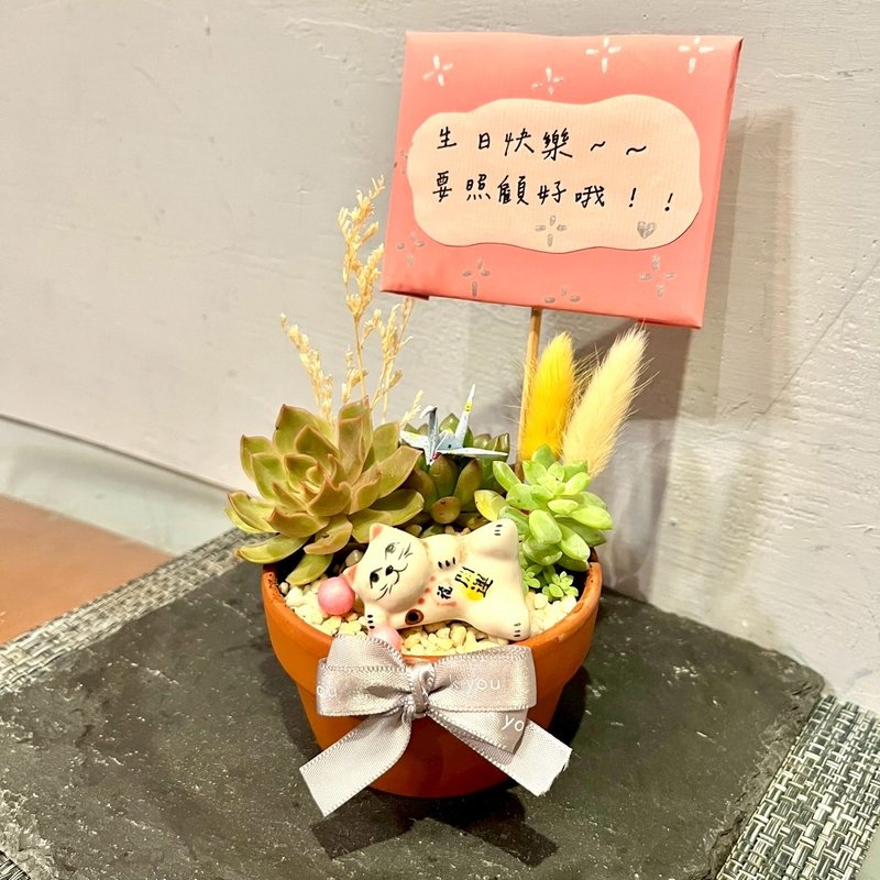 台中多肉組盆 多肉植物 日式枯山水 招財貓咪 日本 療癒盆栽 禮物 - 盆栽/植栽 - 植物．花 綠色