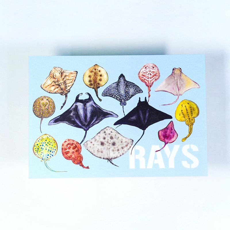 【Manta & Ray】魟魚 水彩插畫 自然圖鑑明信片  魔鬼魚 海洋 - 卡片/明信片 - 紙 黑色