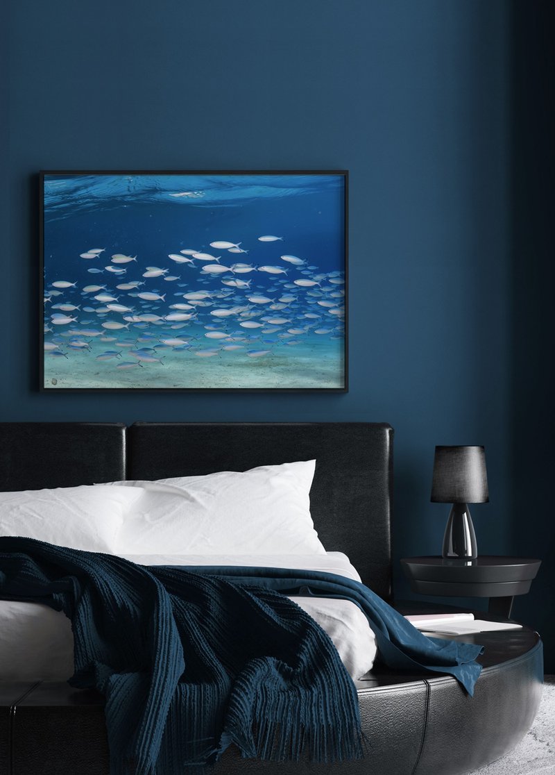 魚兒水中游-自然/北歐/動物/臥房掛畫/客廳/民宿/沙丁魚/海洋/魚 - 海報/掛畫/掛布 - 棉．麻 多色