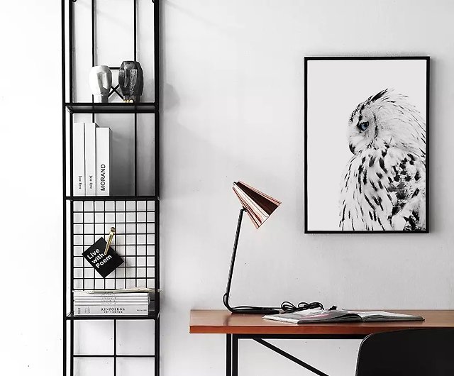 Snowy Owl Winter Wildlife Home Decor Nordic Photography Black And White Boluo Gallery Posters I - Wildlife Home Decor