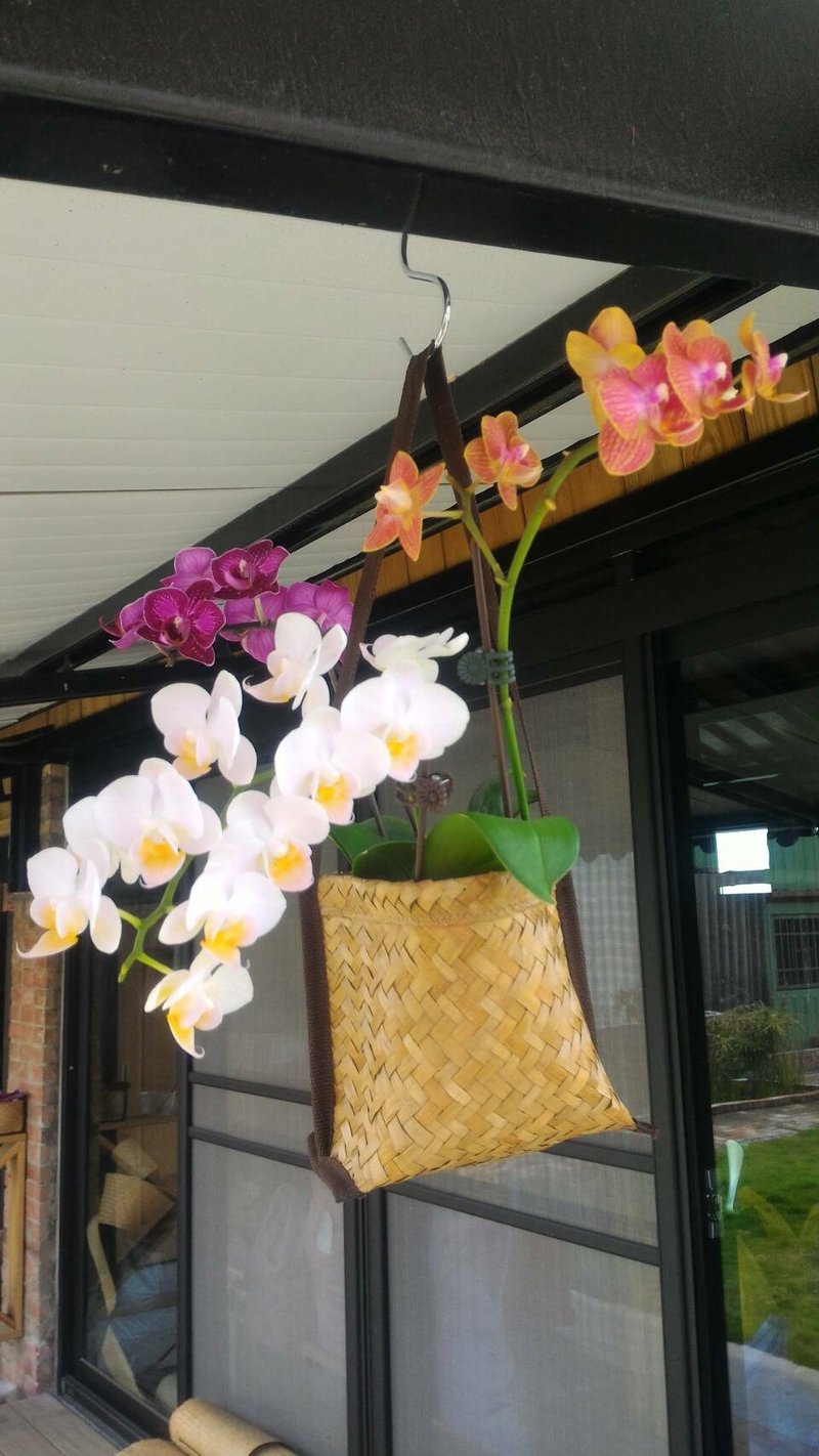 Laminated hanging basket - ตกแต่งต้นไม้ - พืช/ดอกไม้ 