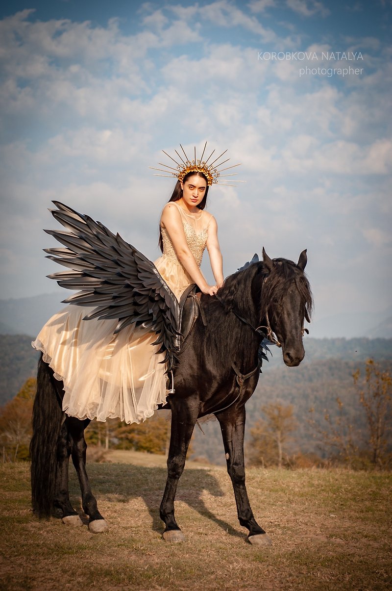 Pegasus wings for the black horse. Horse ammunition - Other - Waterproof Material Black