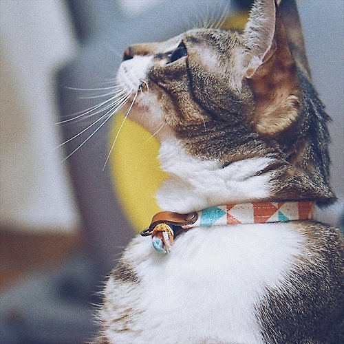 Michu Pet Collars #美珠手作 貓 項圈 粉紅 三角格紋 長頸鹿 附鈴鐺 可加購吊牌