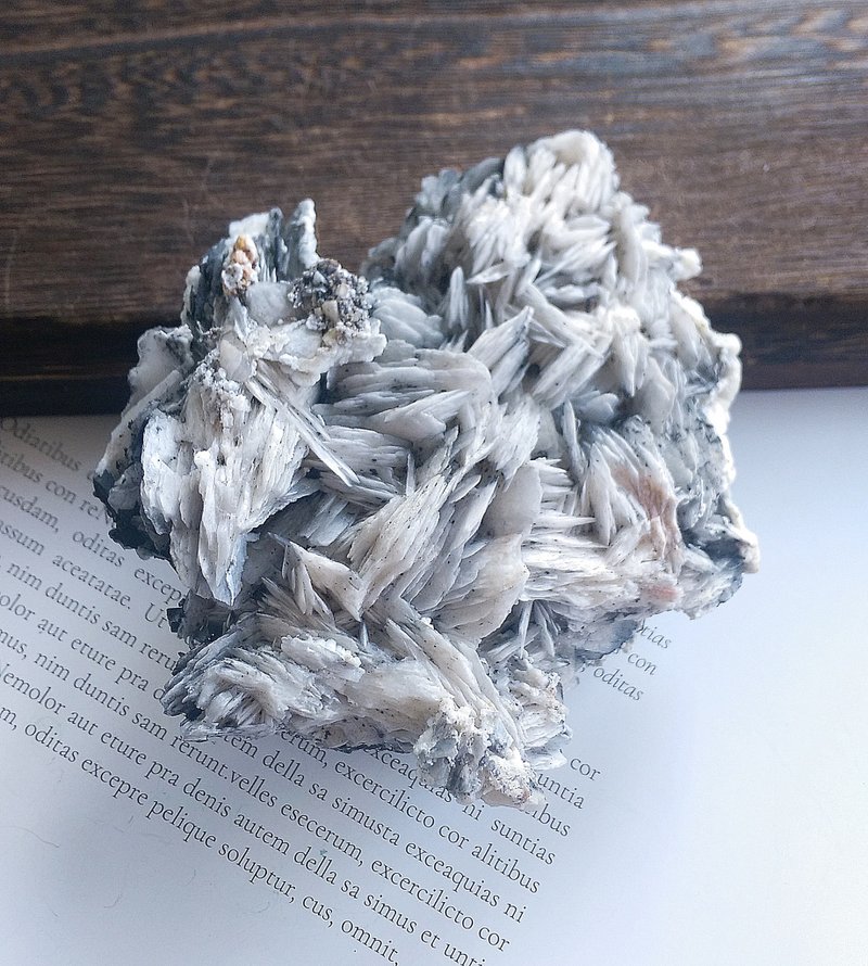 Barite 美國產地 重晶石 共生礦 天然礦石 原礦 - 擺飾/家飾品 - 其他材質 