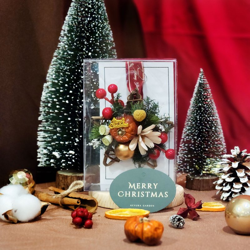 【聖誕禮盒】聖誕星星小掛飾/聖誕禮物/交換禮物/聖誕節裝飾 - 乾燥花/永生花 - 植物．花 多色