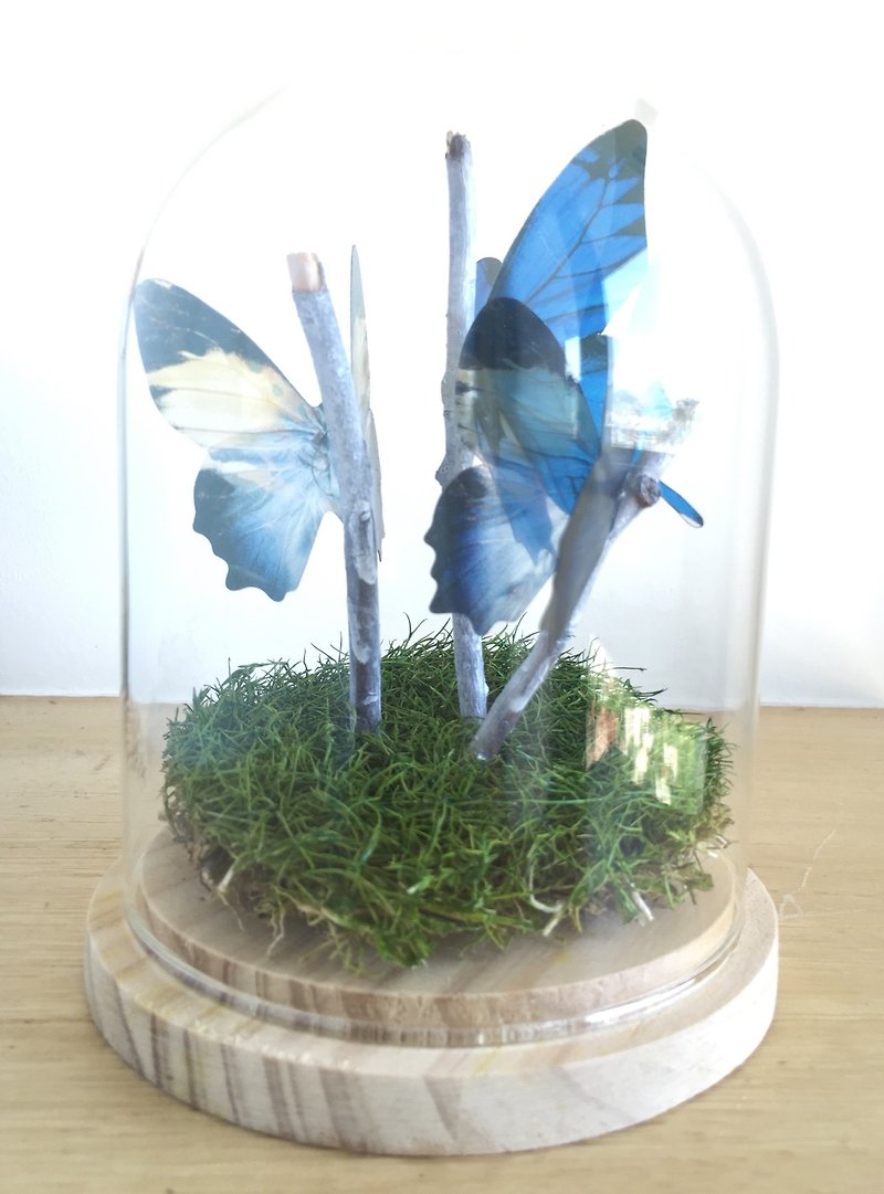 ［純自然］彩蝶幻境 玻璃鐘罩 藍 蝴蝶 白枯枝 藝品 設計 送禮 - 裝飾/擺設  - 玻璃 藍色