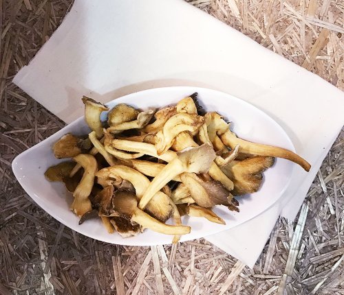 好日Ｘ好食 【好日好食】好果系列 頂級秀珍菇脆片(3入組)