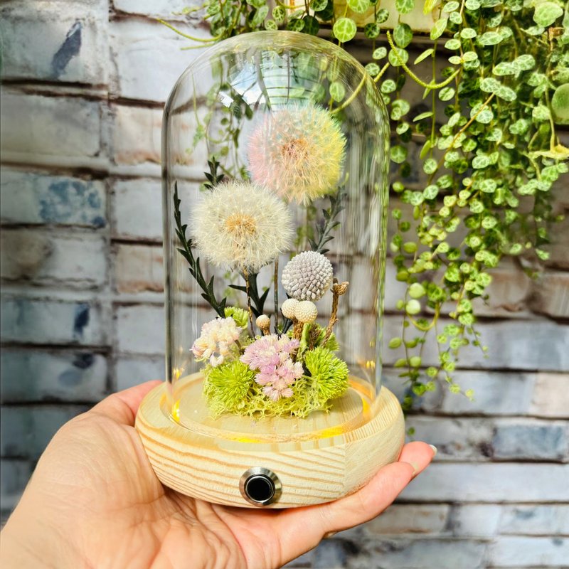 Fairy Tale Night Light Fantasy Dandelion Graduation Gift New Home Appreciation Ceremony - ของวางตกแต่ง - พืช/ดอกไม้ 