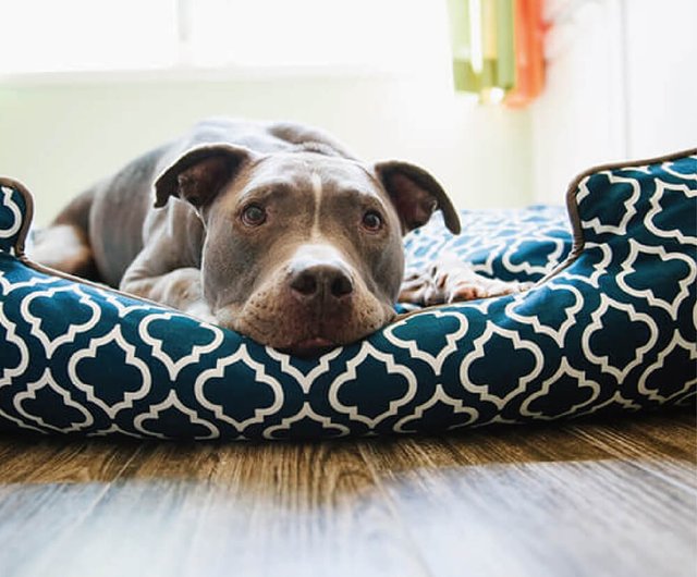 P.L.A.Y. Moroccan Lounge Dog Bed – Organic Pet Boutique