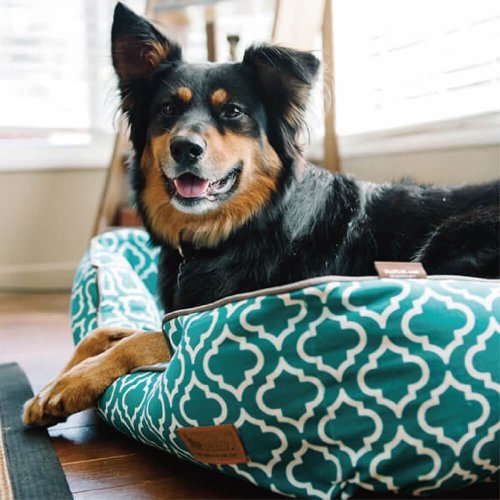 P.L.A.Y. Moroccan Lounge Dog Bed – Organic Pet Boutique