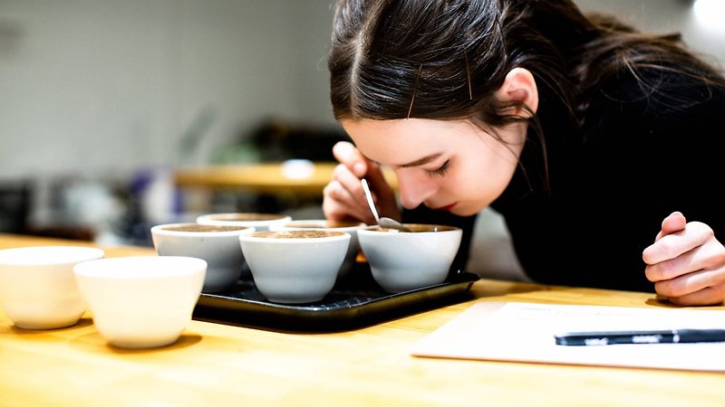 其他材質 烘焙/料理/美食 - SCA Sensory Skills Professional 國際咖啡感官課程