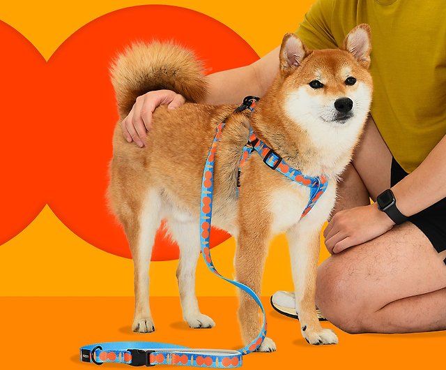 Go out hi traction rope chest and back set blues big orange - Shop PAWZCITY  Collars & Leashes - Pinkoi