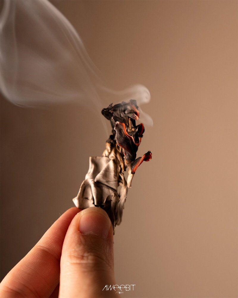 鼠尾草靈煙之羽 - 香氛/精油/擴香 - 植物．花 卡其色