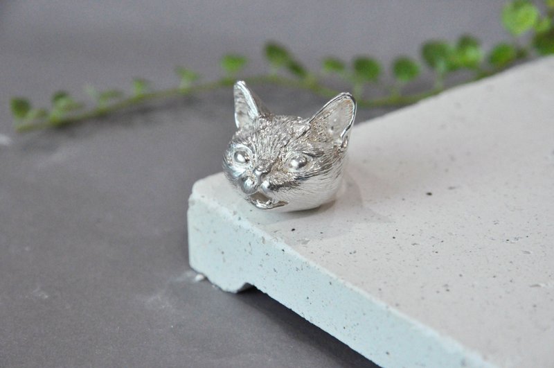 . In tacit understanding. NO.01 cat ring/open - แหวนทั่วไป - เงินแท้ สีเงิน