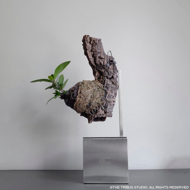 PLATY STAND 植物立架 - 盆栽/植栽 - 不鏽鋼 銀色