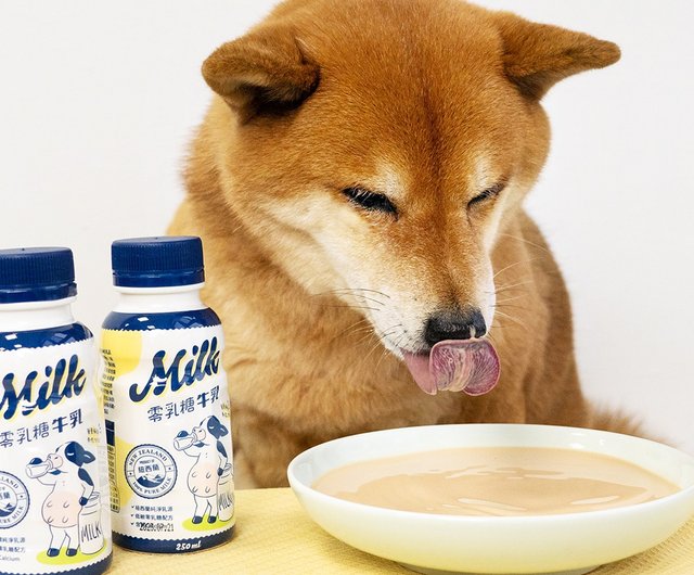 Lactose free hotsell milk for dogs