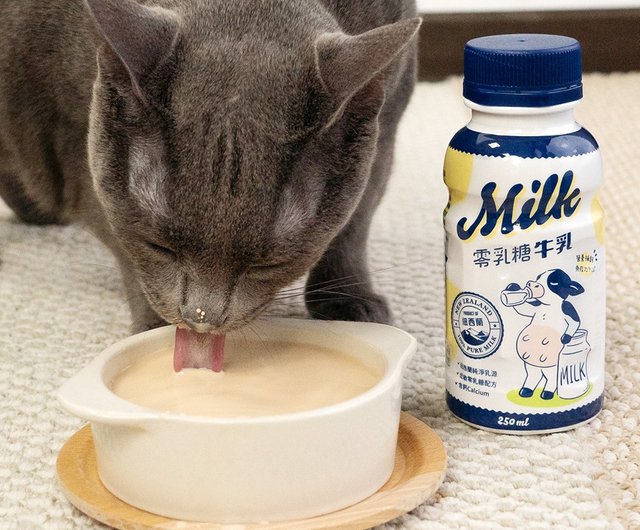 Is lactose free clearance milk good for cats