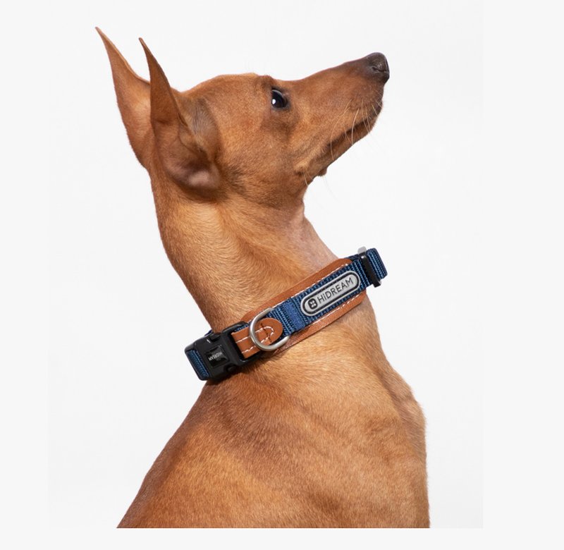 【HiDREAM】Stitched Leather Pet Collar (Multicolor) - Collars & Leashes - Other Man-Made Fibers Multicolor