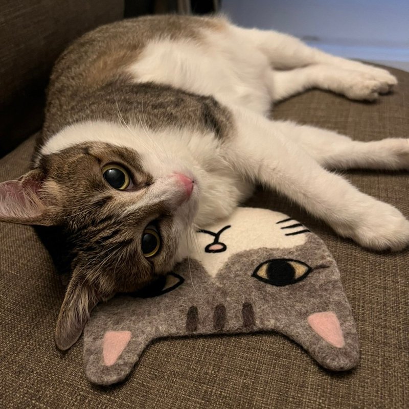 【客製化自家貓咪】羊毛氈杯墊/隔熱墊  全手工 原創設計 - 杯墊 - 羊毛 多色