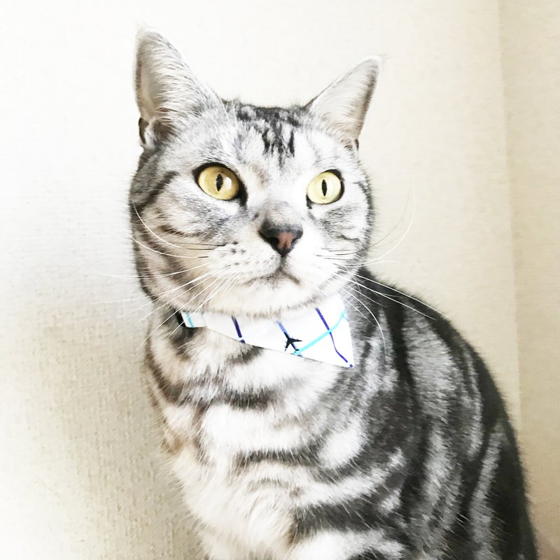 エアライン柄 猫用バンダナ風首輪　安全バックル　安全首輪 - 項圈/牽繩 - 棉．麻 白色