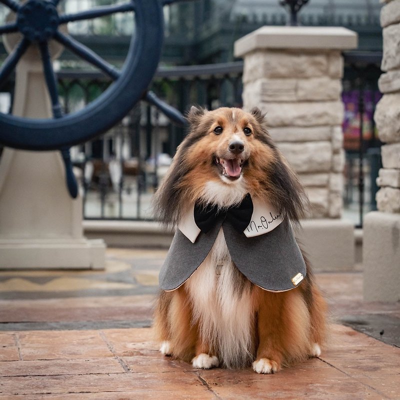 Pet Minimal Overcoat - Classic Collection - 寵物衣服 - 棉．麻 灰色