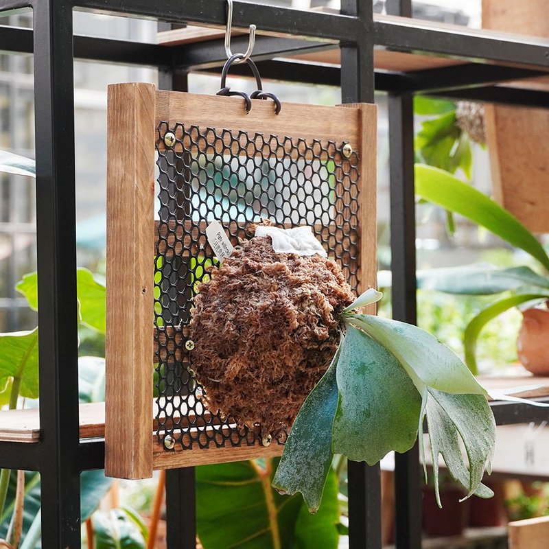 [Woodworking Experience] Staghorn Fern Boarding (Screen Board) Classes Started in Taiwan - Woodworking / Bamboo Craft  - Wood 