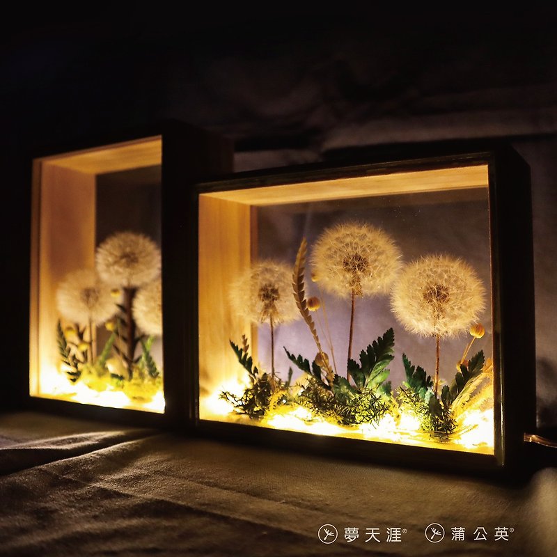 夢天涯 蒲公英永生花 玻璃畫框-燈 - 裝飾/擺設  - 植物．花 白色
