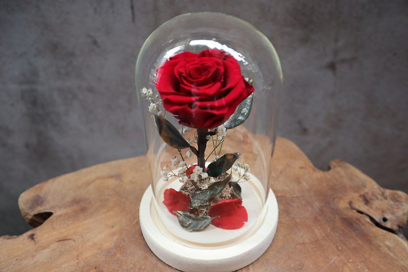 永生花盅 | 單朵永生紅玫瑰 玻璃花盅 永生花禮 情人節禮物 - 擺飾/家飾品 - 玻璃 紅色