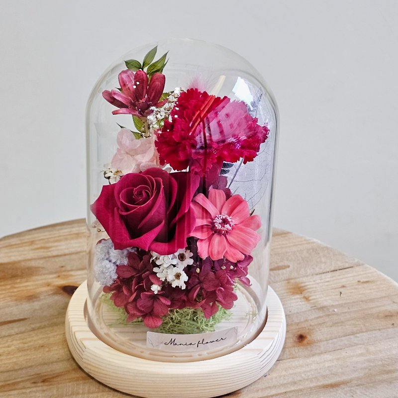 母親節 永生康乃馨玻璃罩 槽燈款 現貨 快速出貨 - 乾花/永生花 - 植物．花 多色