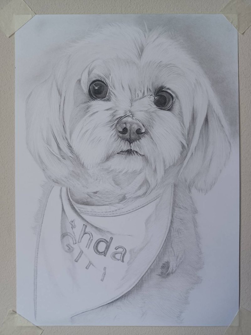 Custom Pet Portrait From Photo, Personalized Pencil Hand Drawing Sketch. Perfect - 牆貼/牆身裝飾 - 紙 