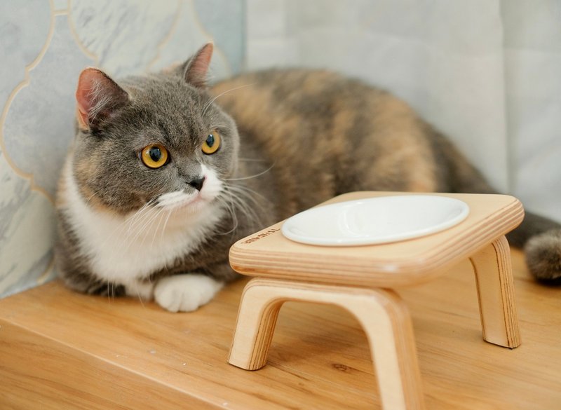 [XXS / Full Cat Dining Table] Single/Double Pet Solid Wood Dish Rack with Porcelain Plate - Pet Bowls - Wood Khaki