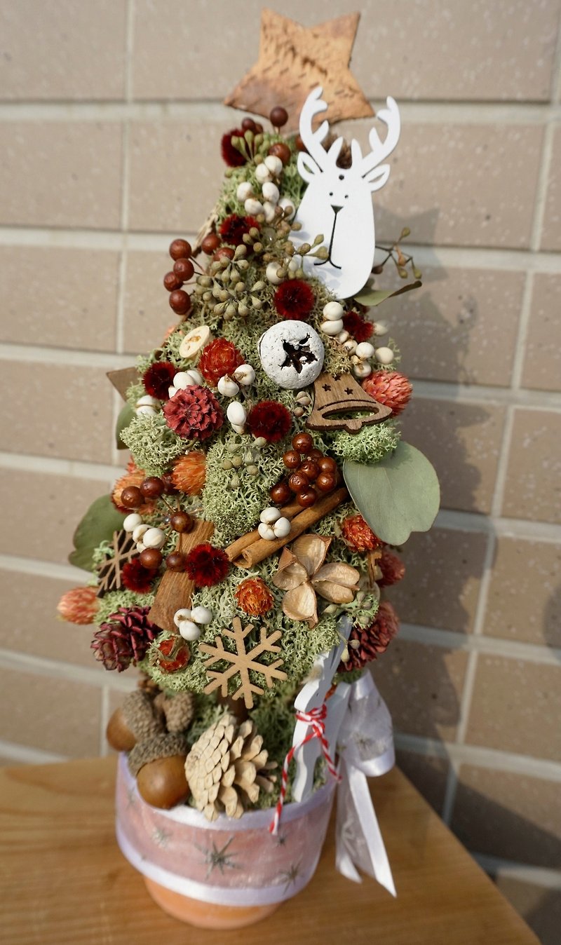 聖誕樹/松果聖誕樹/聖誕禮物/交換禮物/裝飾擺飾/麋鹿/聖誕老人 - 乾燥花/永生花 - 植物．花 綠色