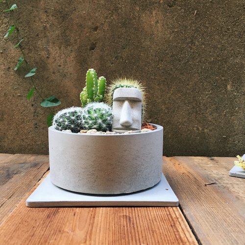 島人手作 |摩艾綠意花園| 迷你仙人掌造景DIY【不含植物與土壤】