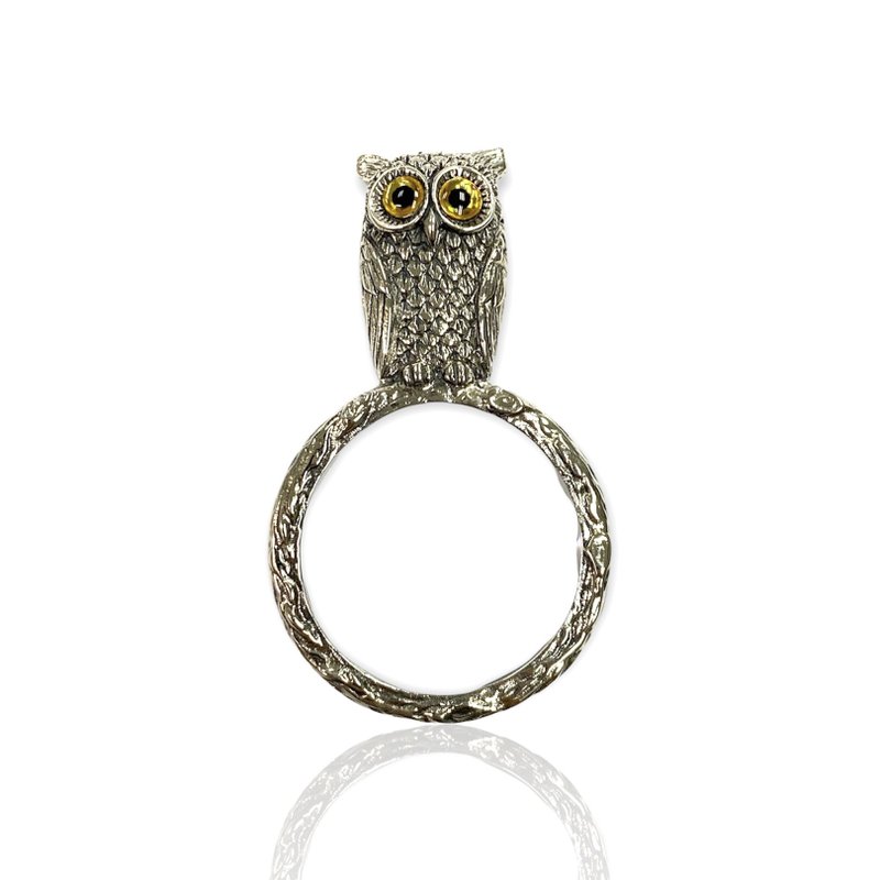 Victorian Style Owl Bird Magnifying Glass Loop Pendant 925 Sterling Silver - 其他 - 純銀 銀色
