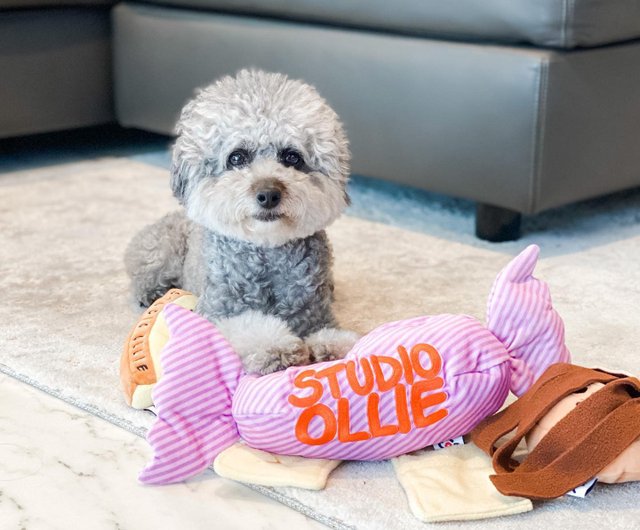 [Dog toys] French Studio Ollie smells the difficulty of Tibetan food toys 3  stars to relieve stress and anti-depression