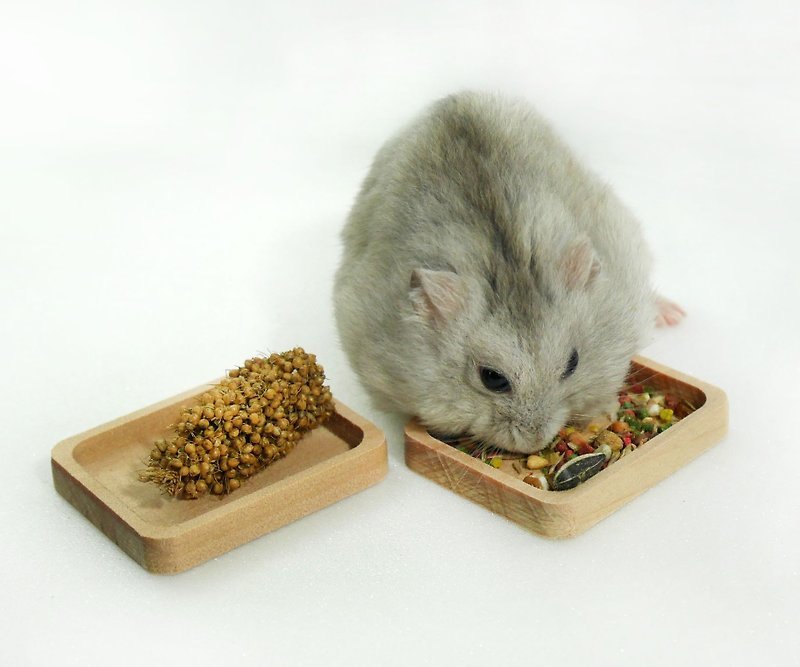 【Small Workshop】 - Spot - A full square dinner plate pet mouse nursery supplies hamster kitchen feed plate plate food containers plate - Pet Bowls - Wood Brown