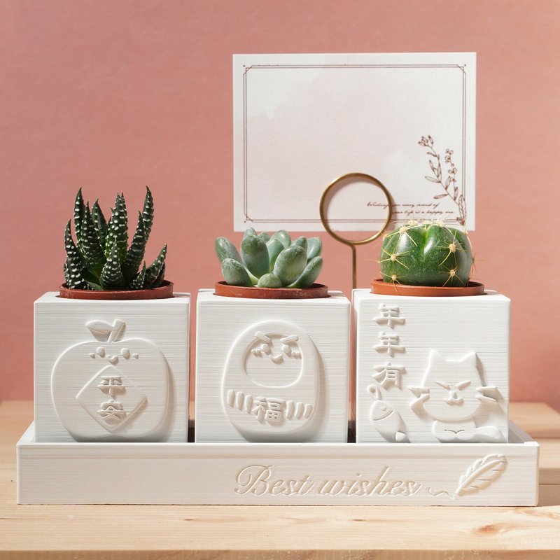 [Birthday Gift] Best Wishes | Peace is a blessing | 4-piece set of succulent Cement potted plants - ตกแต่งต้นไม้ - ปูน ขาว